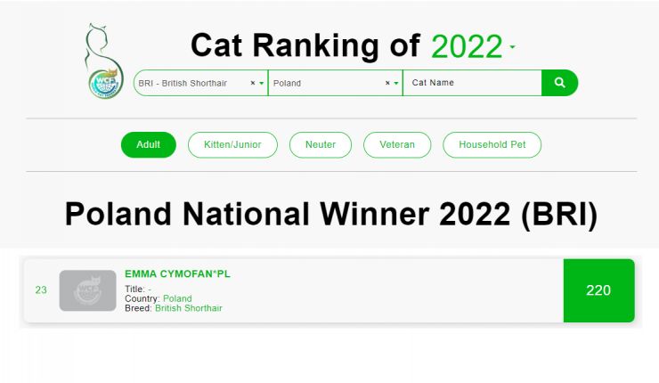 Ranking WCF 2022 _koty dorosłe Emma.jpg