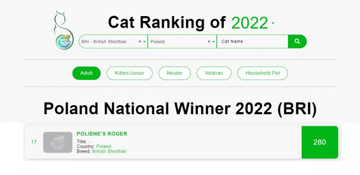 Ranking WCF 2022 _koty dorosłe Roger.jpg